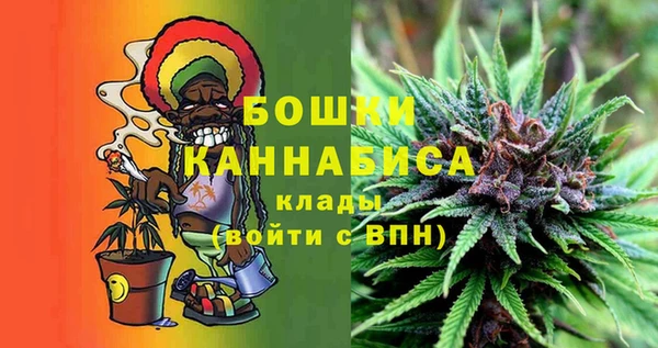 тгк Бронницы