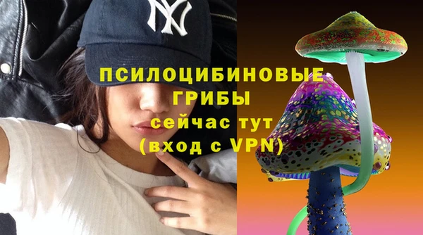 тгк Бронницы