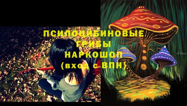 тгк Бронницы